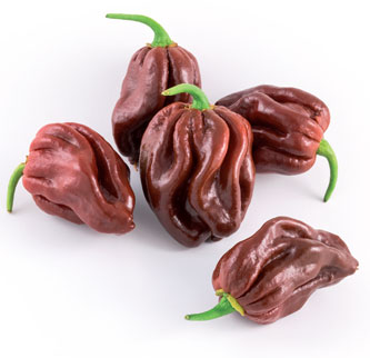 Immagine prodotto PEPERONE PICCANTE Habanero Chocolate