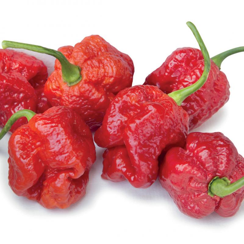 Immagine prodotto PEPERONE PICCANTE Trinidad Moruga Scorpion