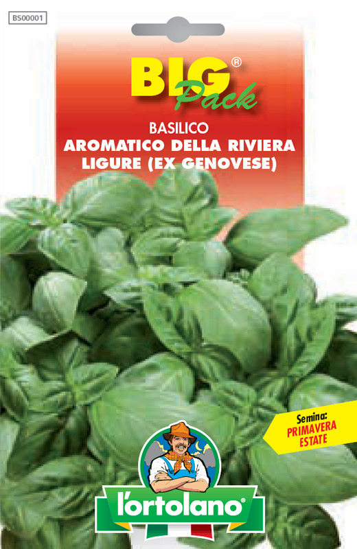 Immagine prodotto BASILICO Aromatico della Riviera Ligure (ex genovese)