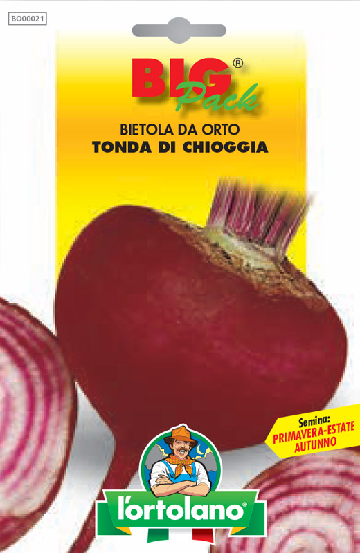 Immagine prodotto BIETOLA da orto Tonda di Chioggia