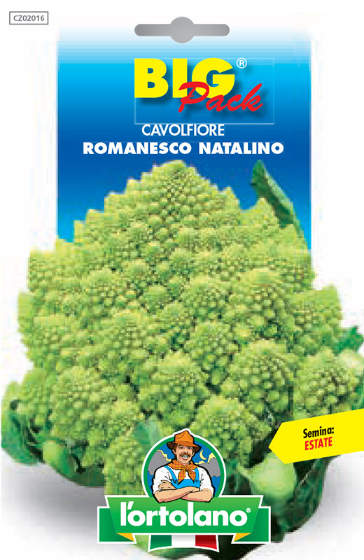 Immagine prodotto CAVOLFIORE Romanesco Natalino