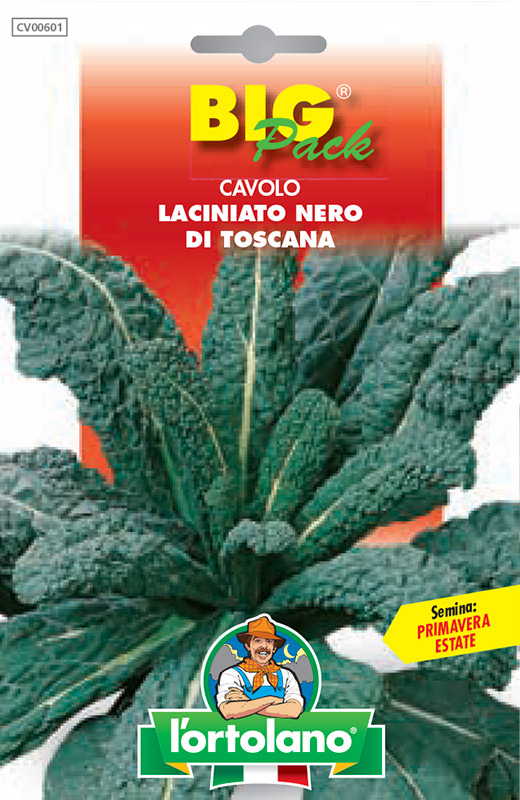 Immagine prodotto CAVOLO Laciniato nero di Toscana