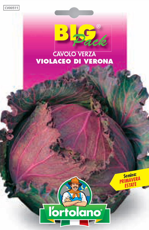 Immagine prodotto CAVOLO Verza Violaceo di Verona