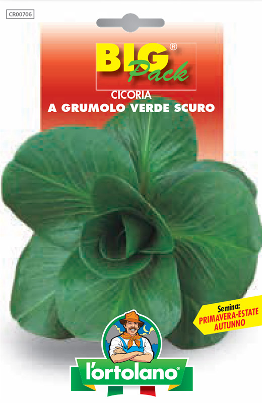 Immagine prodotto CICORIA a grumolo verde scuro