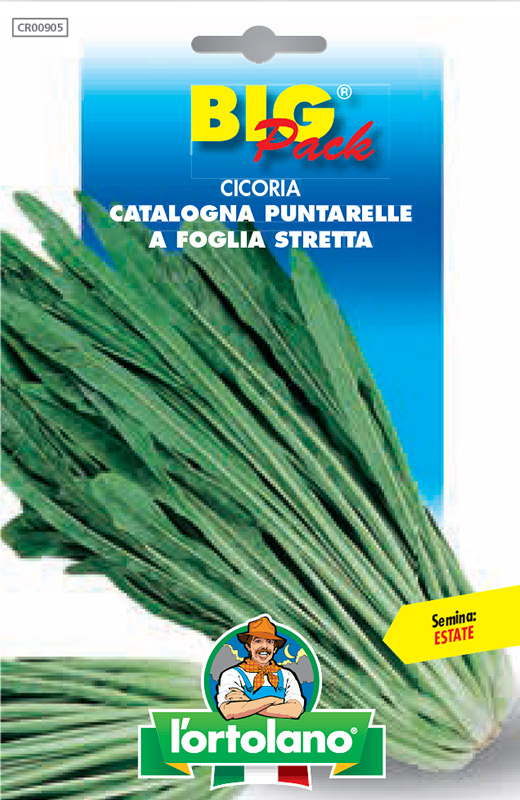 Immagine prodotto CICORIA Catalogna Puntarelle a foglia stretta