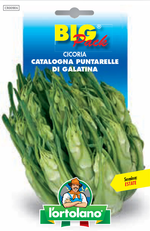 Immagine prodotto CICORIA Catalogna Puntarelle di Galatina