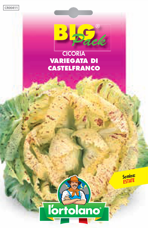 Immagine prodotto CICORIA Variegata di Castelfranco