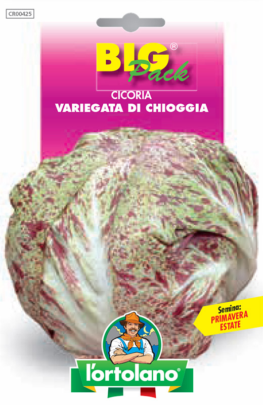 Immagine prodotto CICORIA Variegata di Chioggia