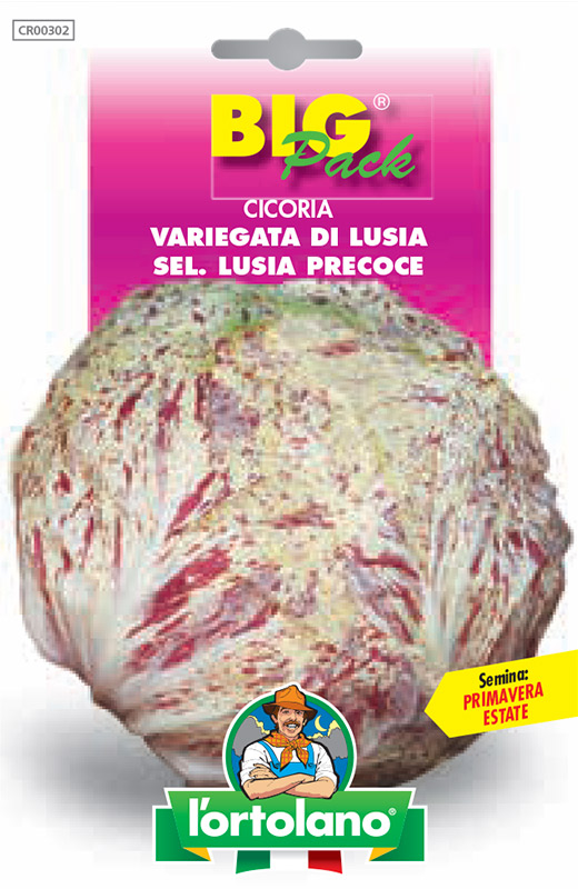 Immagine prodotto CICORIA Variegata di Lusia sel. Lusia precoce