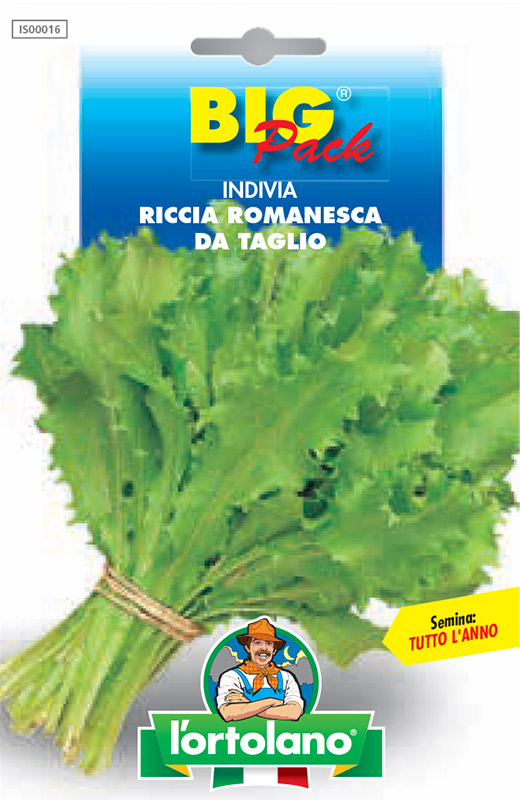 Immagine prodotto INDIVIA Riccia romanesca da taglio