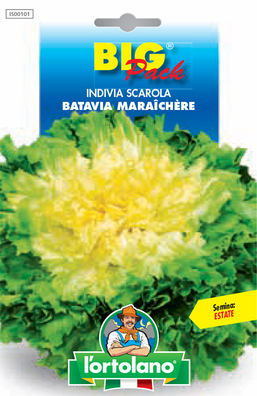 Immagine prodotto INDIVIA SCAROLA Batavia Maraîchère