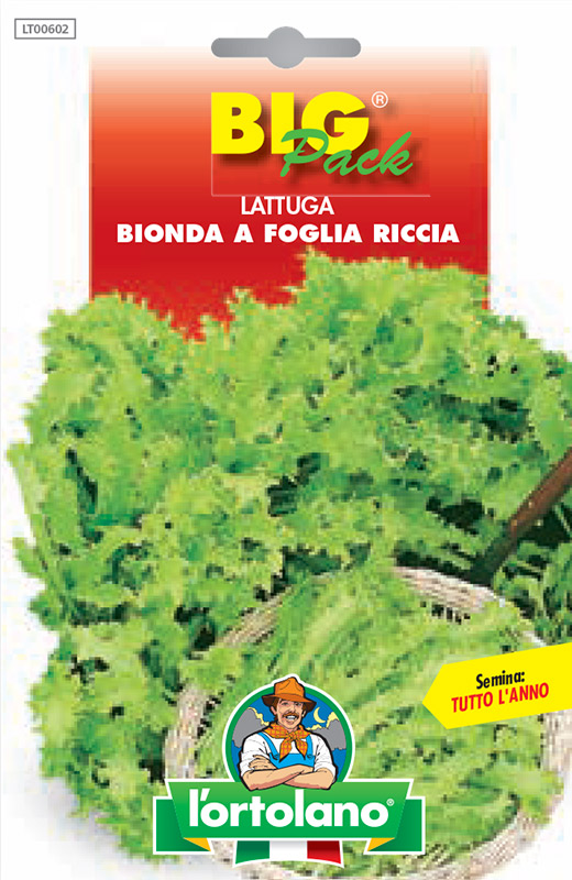 Immagine prodotto LATTUGA Bionda a foglia riccia