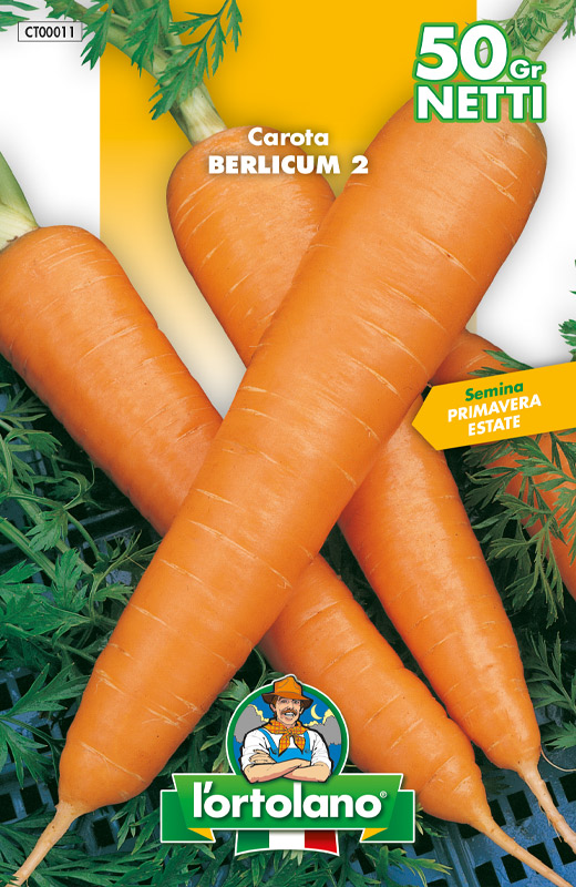 Immagine prodotto CAROTA Berlicum 2