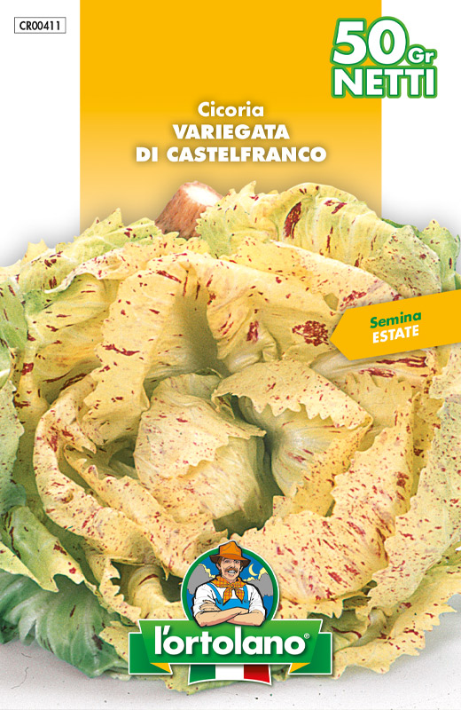 Immagine prodotto CICORIA Variegata di Castelfranco