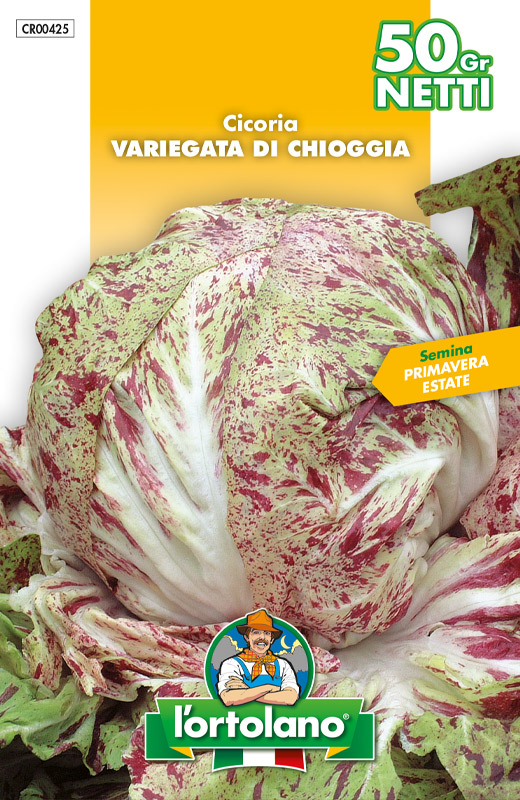 Immagine prodotto CICORIA Variegata di Chioggia