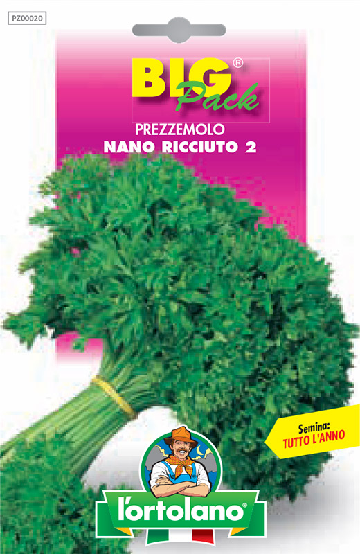 Immagine prodotto PREZZEMOLO Nano ricciuto 2