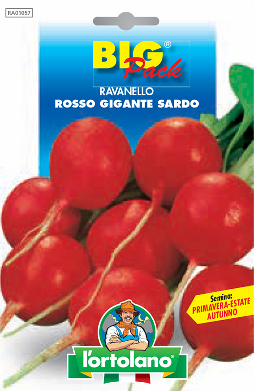 Immagine prodotto RAVANELLO Rosso Gigante Sardo