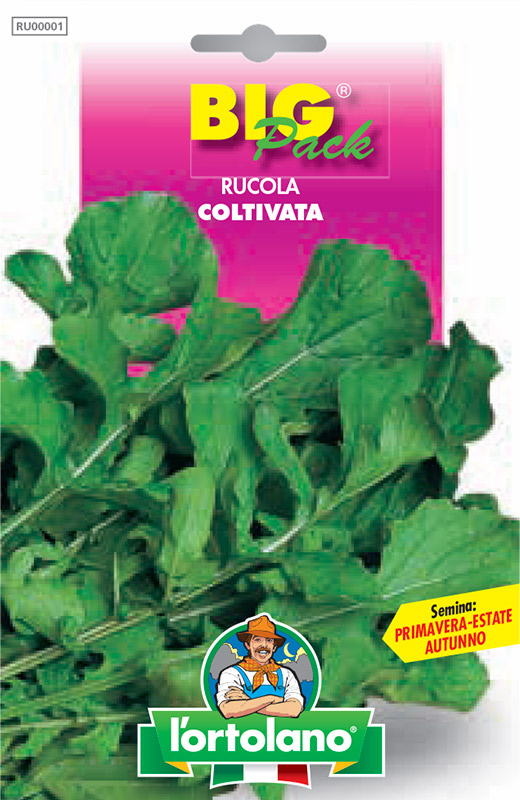 Immagine prodotto RUCOLA Coltivata