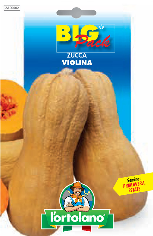 Immagine prodotto ZUCCA Violina