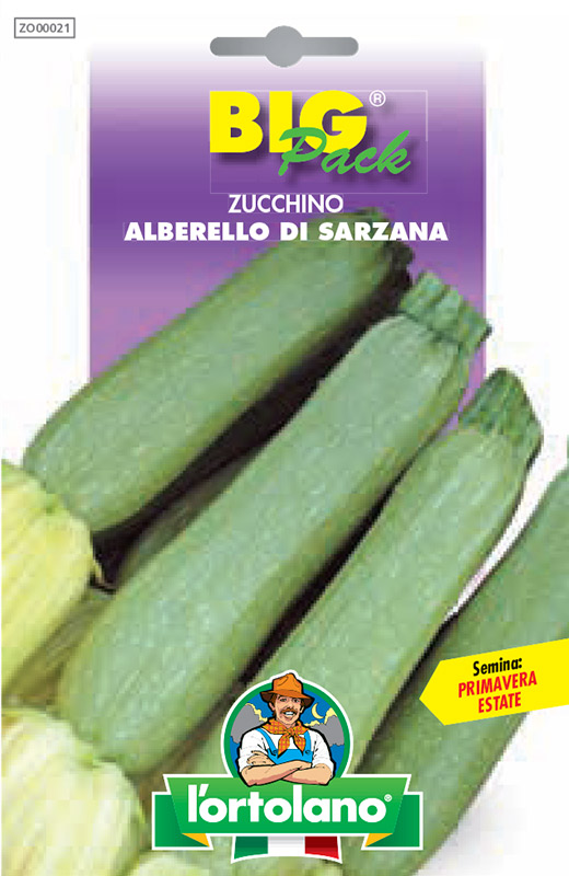 Immagine prodotto ZUCCHINO Alberello di Sarzana