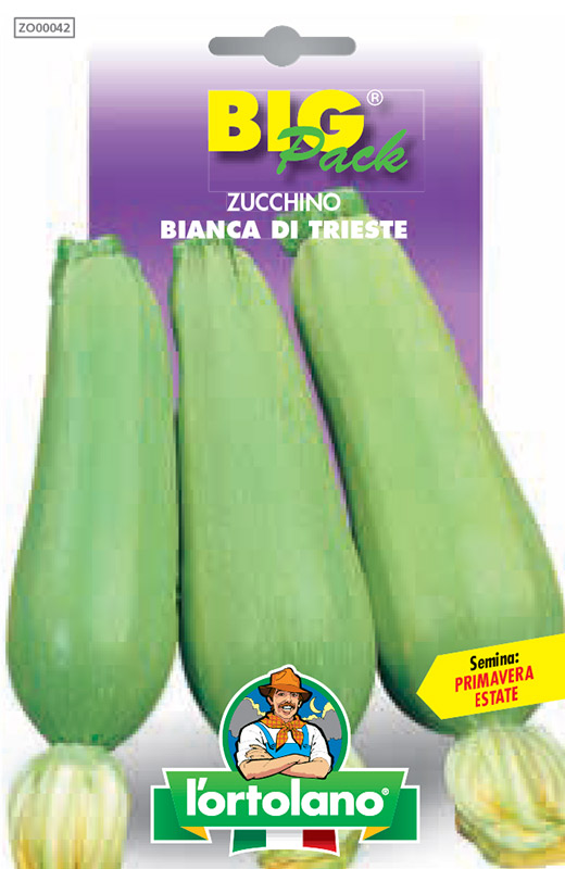 Immagine prodotto ZUCCHINO Bianca di Trieste