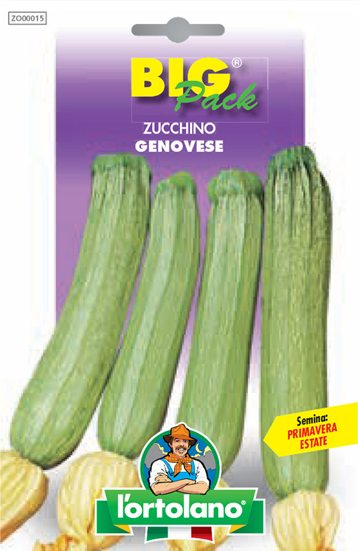 Immagine prodotto ZUCCHINO Genovese