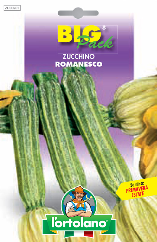 Immagine prodotto ZUCCHINO Romanesco