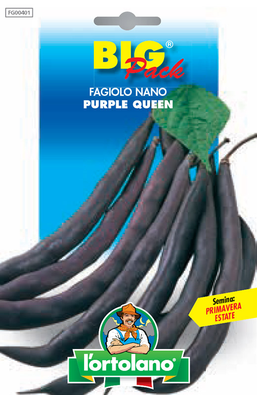 Immagine prodotto FAGIOLO nano Purple Queen