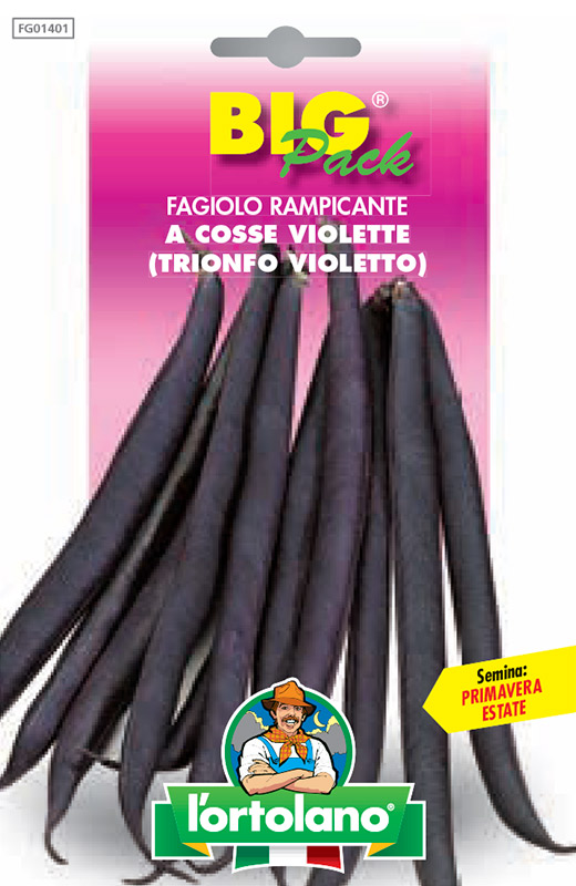 Immagine prodotto FAGIOLO rampicante a cosse violette (Trionfo Violetto)