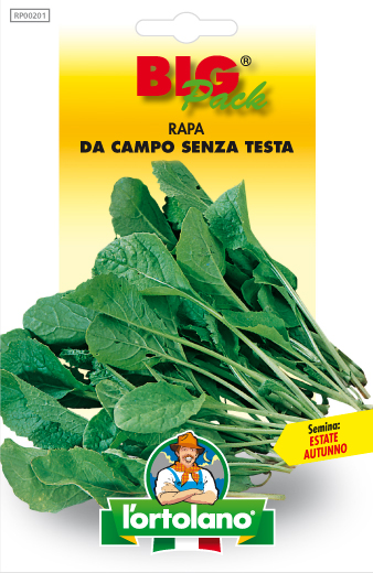 Immagine prodotto RAPA Da campo senza testa