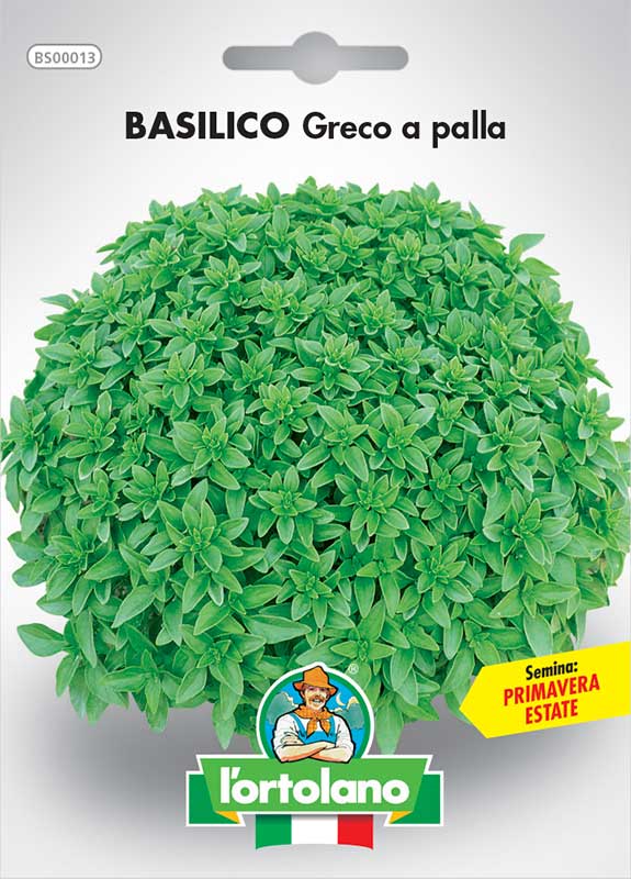 Immagine prodotto BASILICO greco a palla