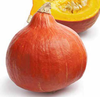 Immagine prodotto ZUCCA Uchiki Kuri (Cucurbita maxima)