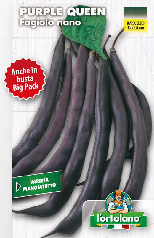 Immagine prodotto FAGIOLO nano Purple Queen