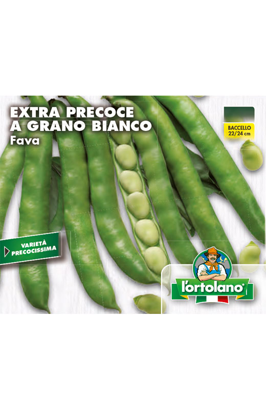 Immagine prodotto FAVA extra precoce a grano bianco