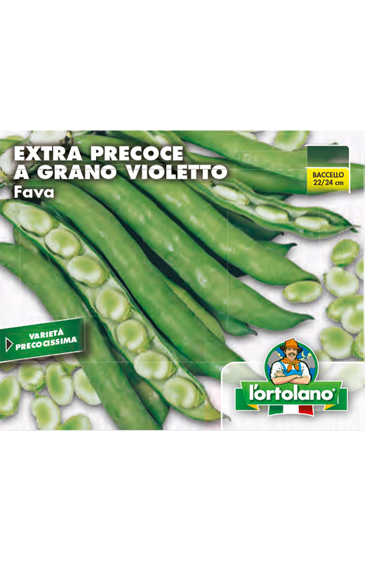 Immagine prodotto FAVA extra precoce a grano violetto