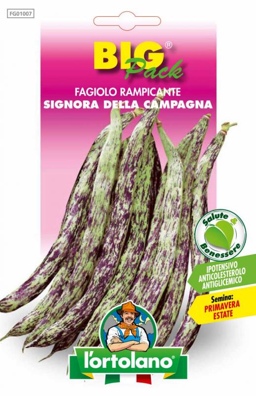 Immagine prodotto FAGIOLO rampicante Signora della campagna