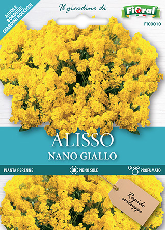 Immagine prodotto ALISSO GIALLO