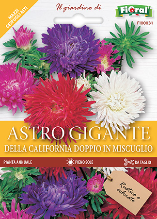 Immagine prodotto ASTRO GIGANTE DELLA CALIFORNIA DOPPIO In miscuglio