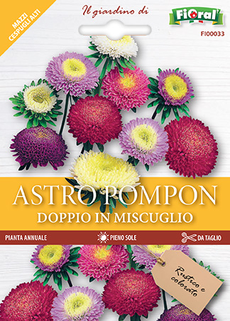 Immagine prodotto ASTRO POMPON Doppio in miscuglio