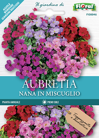 Immagine prodotto AUBRETIA NANA In miscuglio