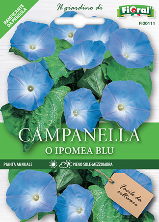 Immagine prodotto CAMPANELLA O IPOMEA Blu