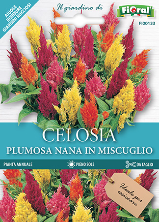 Immagine prodotto CELOSIA PLUMOSA Nana in miscuglio