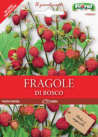 Immagine prodotto FRAGOLE DI BOSCO