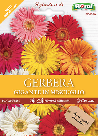 Immagine prodotto GERBERA GIGANTE In miscuglio