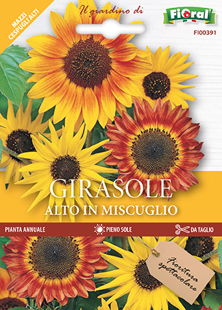 Immagine prodotto GIRASOLE Alto in miscuglio