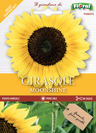 Immagine prodotto GIRASOLE MOONSHINE