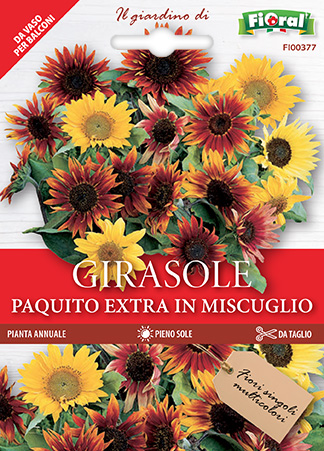 Immagine prodotto GIRASOLE PAQUITO EXTRA In miscuglio