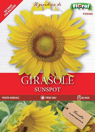 Immagine prodotto GIRASOLE SUNSPOT