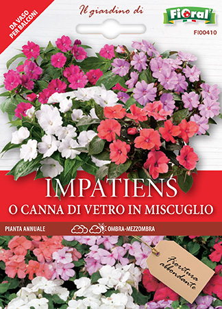 Immagine prodotto IMPATIENS O CANNA DI VETRO In miscuglio