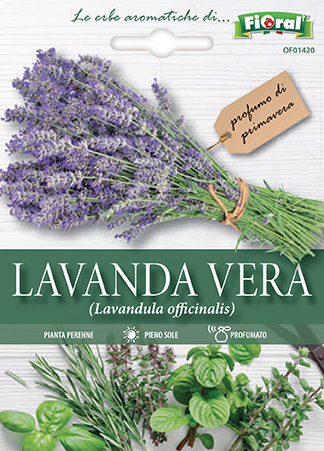 Immagine prodotto LAVANDA VERA